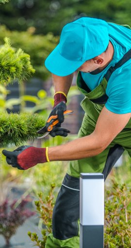 Professional gardener