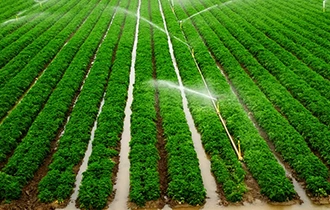 Irrigation