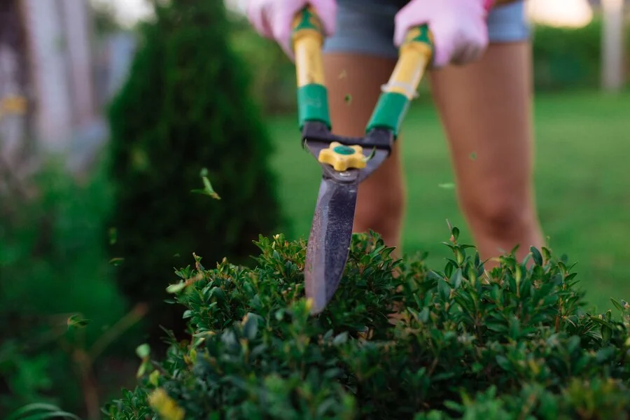 Expert Gardening Services