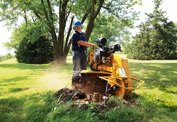 centennial 7 Certified Root Grinding Experts in Chesapeake 580 by 400