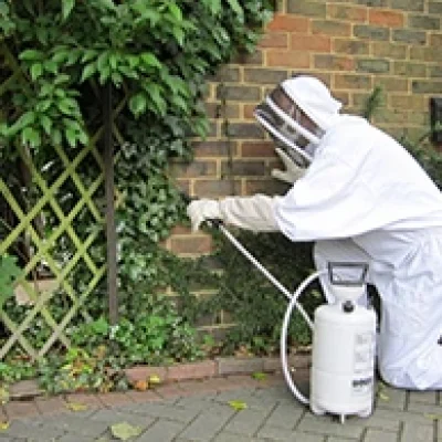 Pest-Control-194-by-194.webp